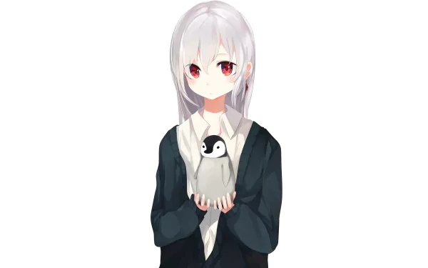 Anime girl with silver hair holding a penguin, depicted in a clean, detailed 4K Ultra HD PC desktop wallpaper and background style.