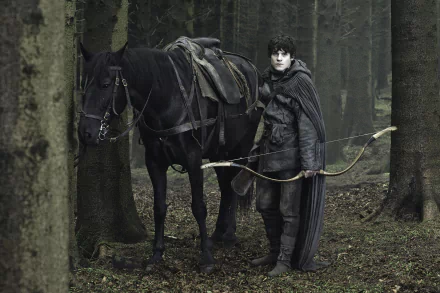 Iwan Rheon Ramsay Bolton TV Show Game Of Thrones HD Desktop Wallpaper | Background Image