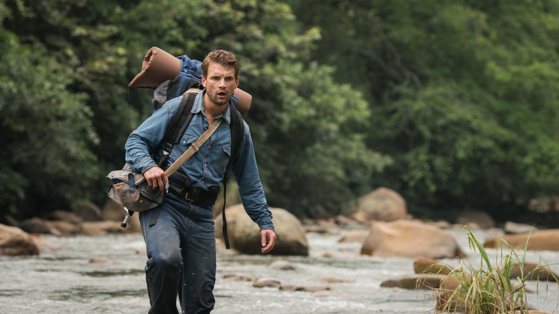 Download Movie Jungle HD Wallpaper