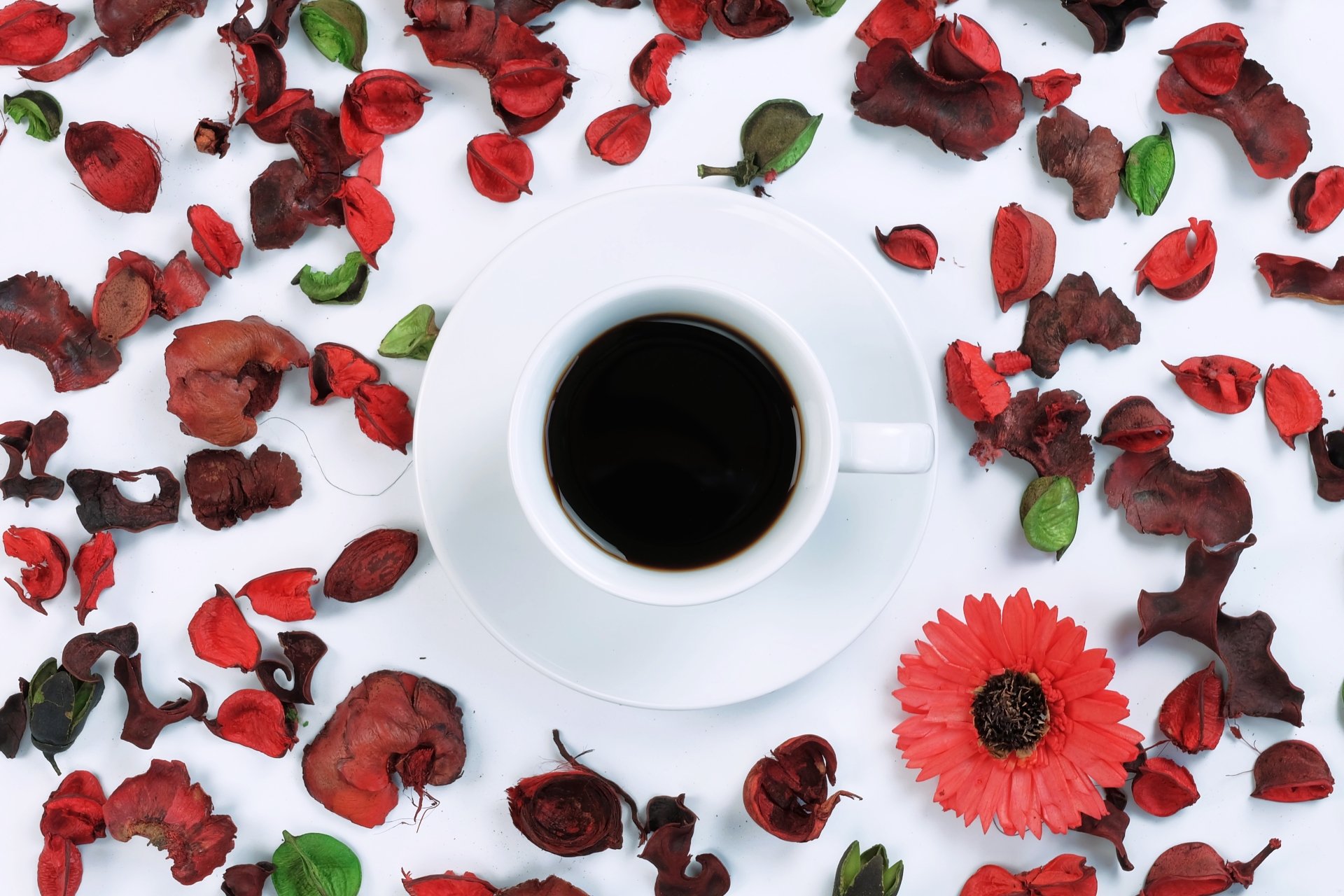 Download Petal Cup Food Coffee 4k Ultra HD Wallpaper