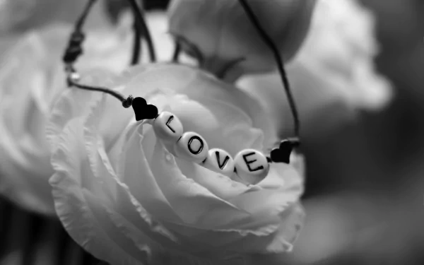 Black & white Valentine's Day photo: rose with bead bracelet spelling 'LOVE' — 5K Ultra HD PC desktop wallpaper