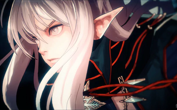 HD desktop wallpaper featuring a white-haired elf character from the video game Dungeon Fighter Online, showcasing detailed fantasy art with sharp, intense eyes.