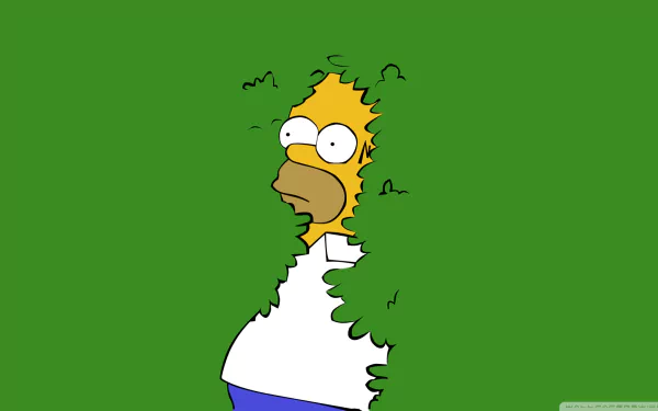 Homer Simpson from The Simpsons peeks through a torn green backdrop — HD PC desktop wallpaper and background featuring the TV show character.