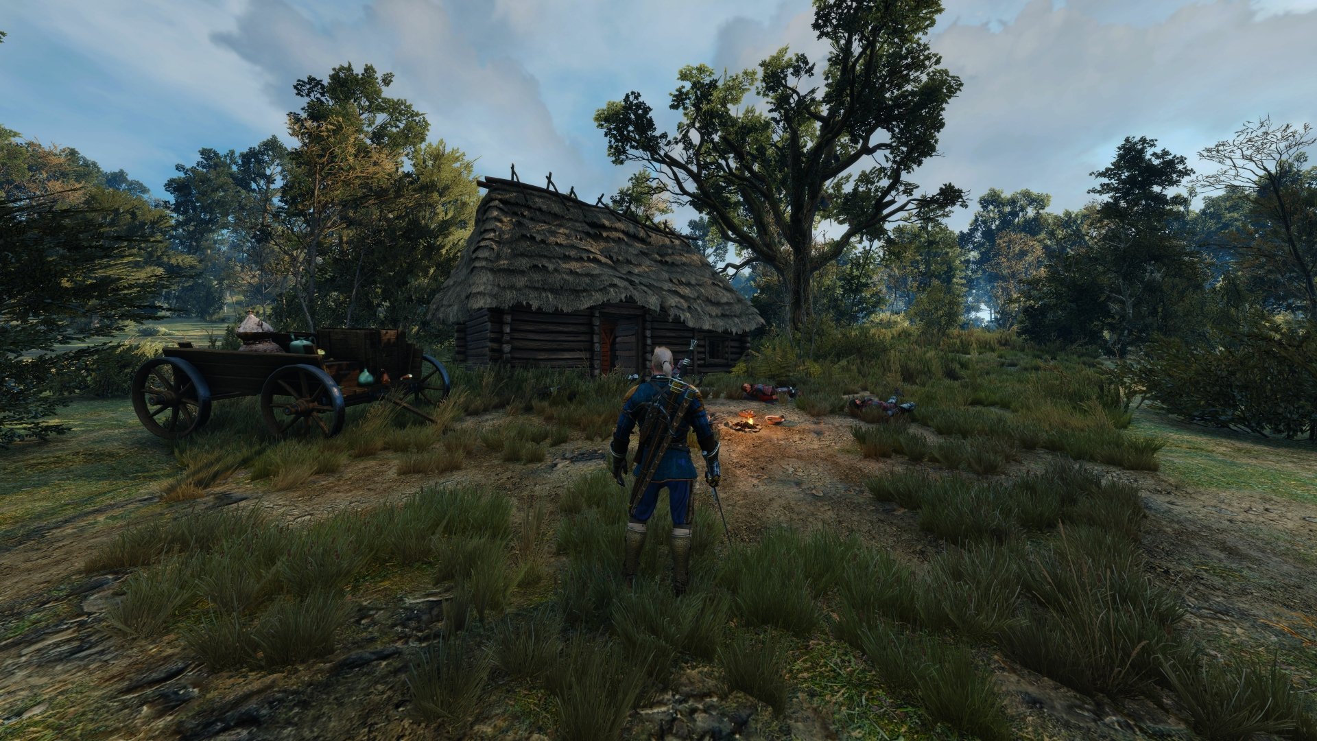 Geralt of Rivia stands in a grassy clearing before a thatched cottage, swords on his back — The Witcher 3: Wild Hunt 8K Ultra HD PC desktop wallpaper.