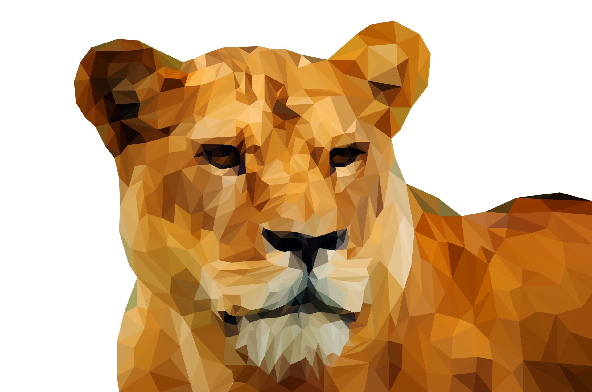 Download Polygon Low Poly Lion Abstract Facets 4k Ultra HD Wallpaper by Manuchi