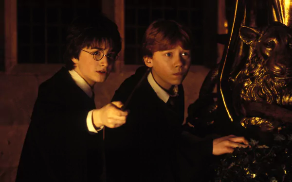 Ron Weasley Rupert Grint Harry Potter Daniel Radcliffe movie Harry Potter and the Chamber of Secrets HD Desktop Wallpaper | Background Image