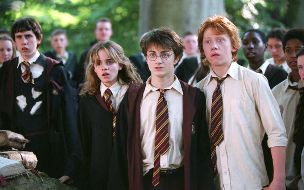 Neville Longbottom Ron Weasley Harry Potter Hermione Granger movie Harry Potter and the Prisoner of Azkaban HD Desktop Wallpaper | Background Image