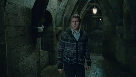 Neville Longbottom movie Harry Potter and the Deathly Hallows: Part 2 HD Desktop Wallpaper | Background Image