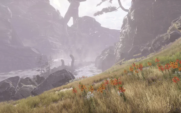  Drizzlepath Deja Vu