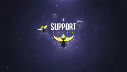 Support