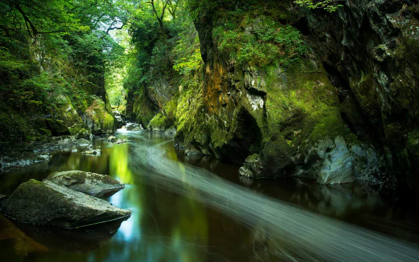 HD PC desktop wallpaper showcasing a serene river flowing through lush greenery and moss-covered rocks in a tranquil natural setting.