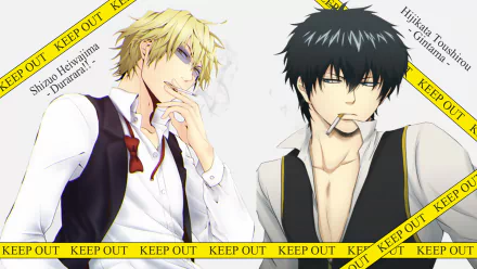 Toushirou Hijikata Shizuo Heiwajima Durarara!! Gintama Anime crossover HD Desktop Wallpaper | Background Image