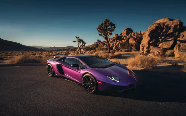 A purple Lamborghini Aventador SV supercar parked on a desert road with rocky formations and Joshua trees, captured in high-definition for a PC desktop wallpaper.