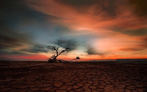 Earth Desert Sunset Sky Horizon HD Wallpaper | Background Image