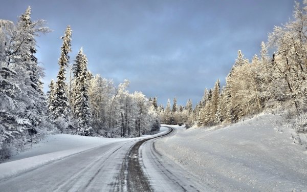 Man Made Road Winter Snow Tree HD Wallpaper | Background Image