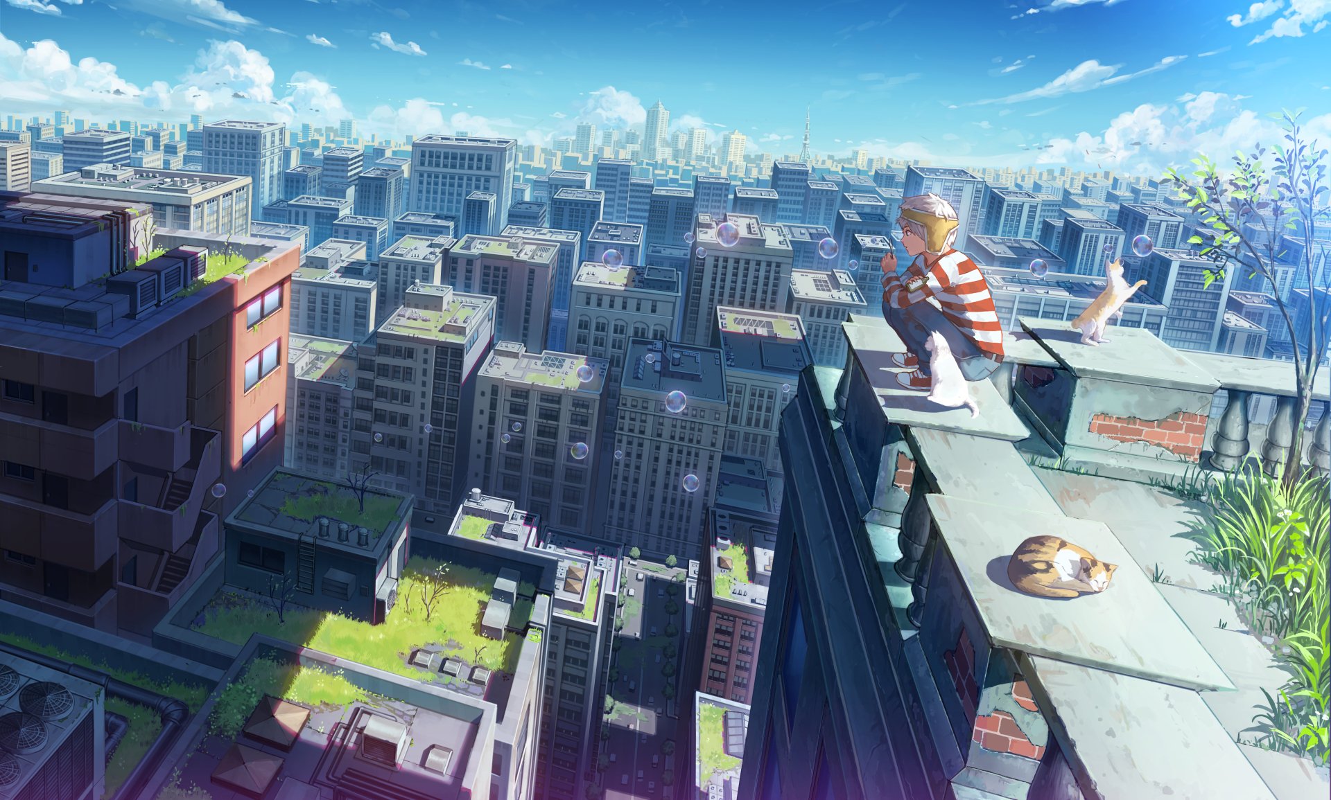 Anime-style HD desktop wallpaper of a city skyline with a cat and a person sitting on a rooftop, surrounded by bubbles, under a clear blue sky.