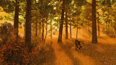 4K Ultra HD PC desktop wallpaper of a fall nature forest: sunlit pines, golden leaves and long shadows across a warm forest floor.