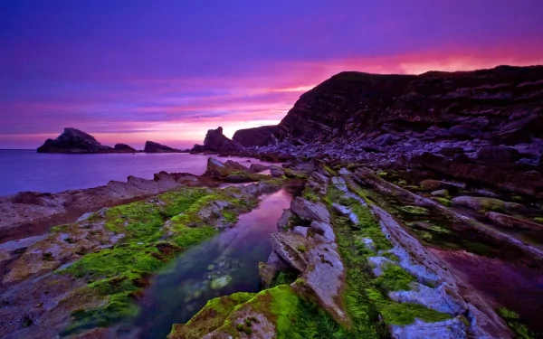 A serene seascape featuring vibrant moss-covered rocks by the ocean, with a stunning sunset reflecting on the water, creating a captivating nature backdrop. 