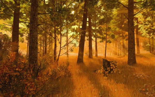 4K Ultra HD PC desktop wallpaper of a fall nature forest: sunlit pines, golden leaves and long shadows across a warm forest floor.
