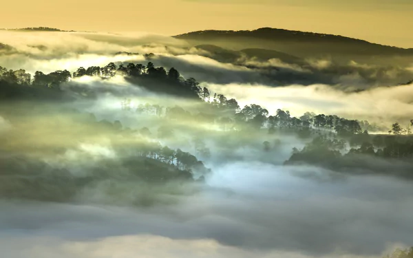 8K Ultra HD PC wallpaper: mist-shrouded Vietnamese hills and forested ridges rising through layered fog at dawn, serene nature landscape.