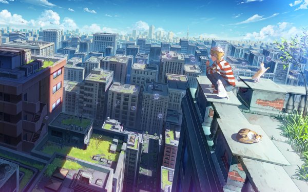 Anime City Cat Bubble HD Wallpaper | Background Image