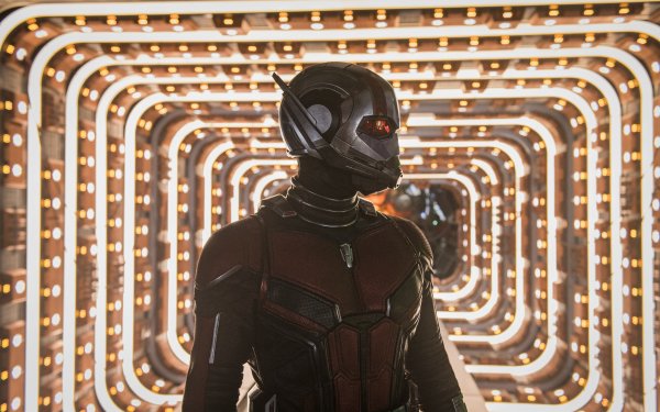 Movie Ant-Man and the Wasp Ant-Man Paul Rudd Scott Lang HD Wallpaper | Background Image