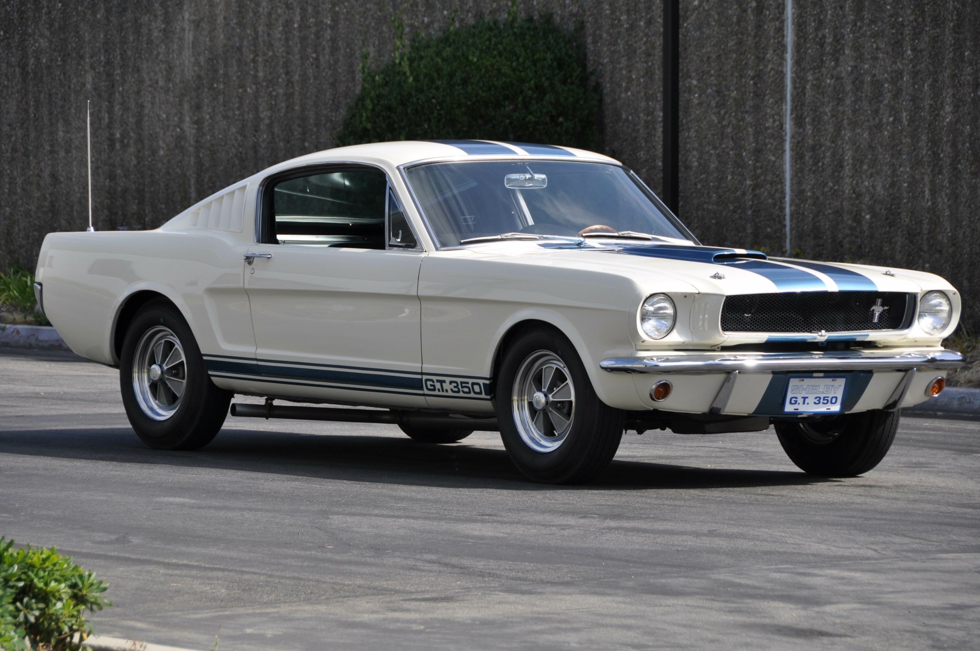 Download Car White Car Muscle Car Fastback Shelby Mustang GT350 Vehicle ...