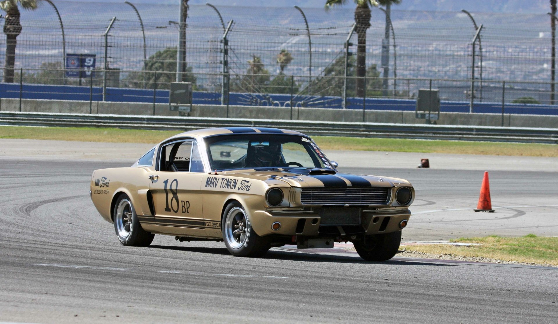 Download Car Brown Car Race Car Muscle Car Fastback Ford Shelby GT350 ...