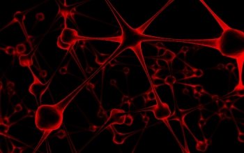 17 neuron hd wallpapers background images wallpaper abyss 17 neuron hd wallpapers background