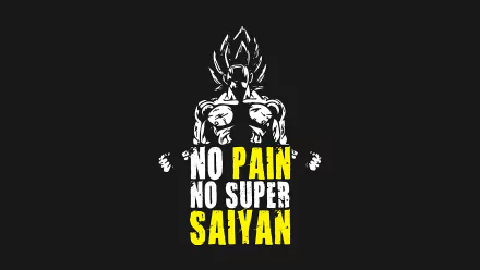 HD Dragon Ball Z desktop wallpaper featuring Goku in silhouette with the bold text No Pain No Super Saiyan in white and yellow on a black background.