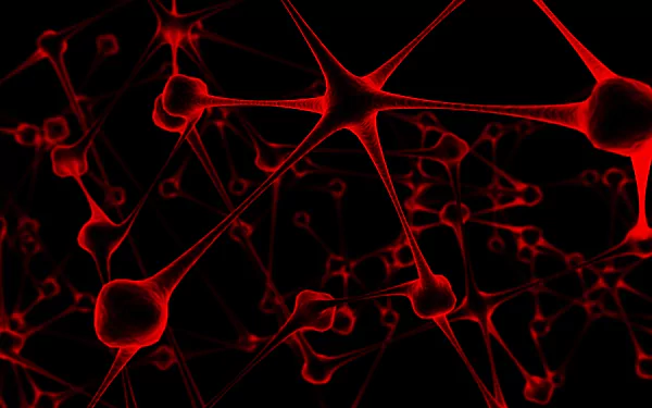 red artistic Neuron HD Desktop Wallpaper | Background Image