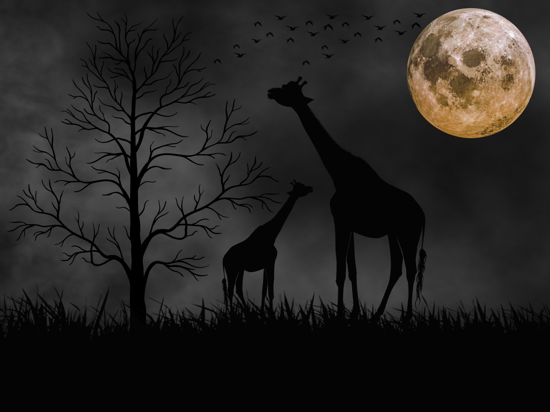 Silhouettes of two giraffes and a tree against a black night sky with a glowing full moon, captured in stunning 4K Ultra HD for a PC desktop background.