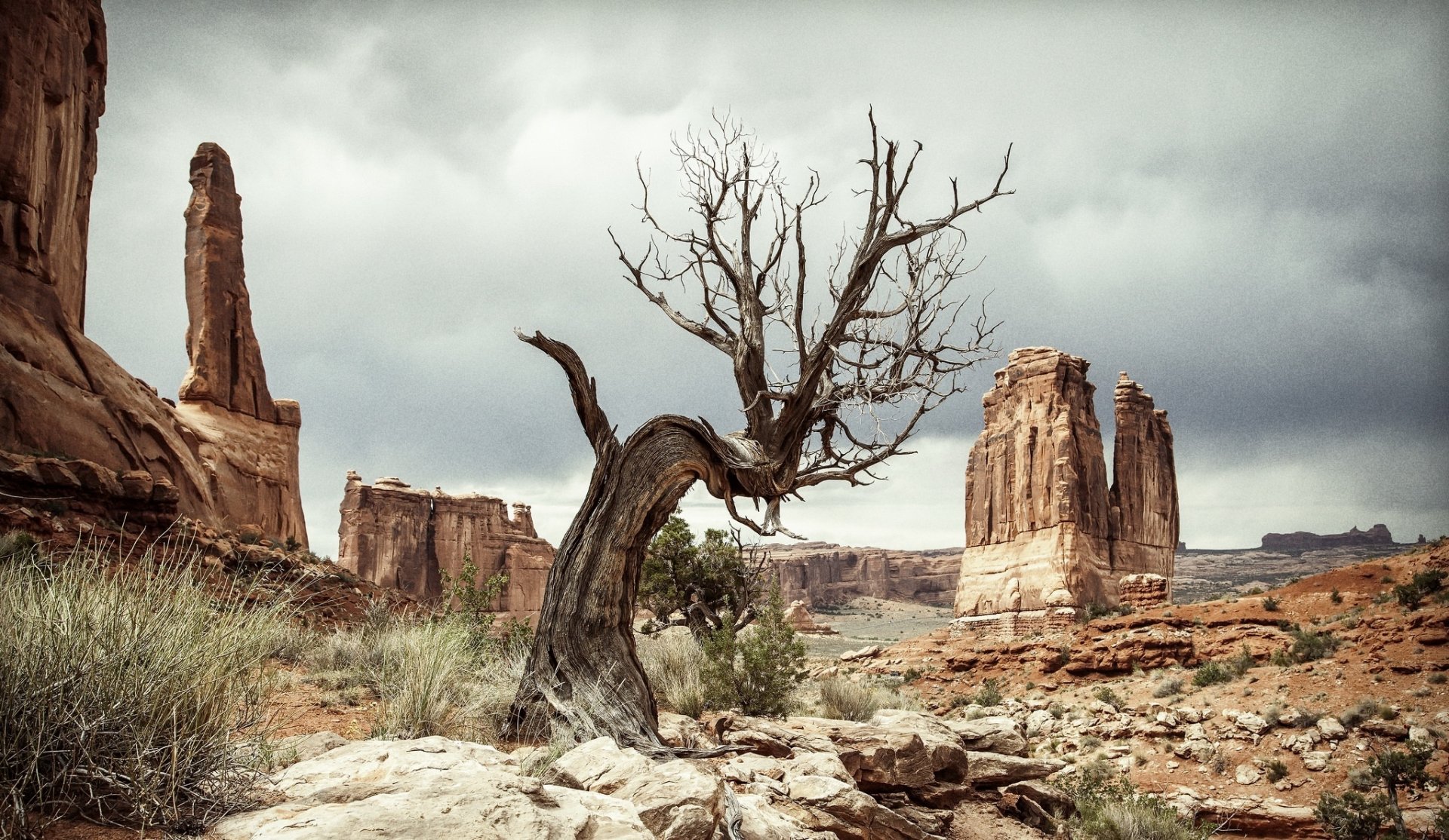 HD PC desktop wallpaper featuring a dead tree in a desert landscape with rocky formations under a cloudy sky, showcasing stark natural beauty.