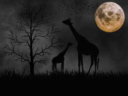 Silhouettes of two giraffes and a tree against a black night sky with a glowing full moon, captured in stunning 4K Ultra HD for a PC desktop background.