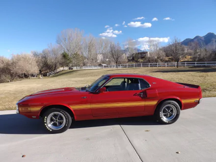  1969 Ford Shelby GT500