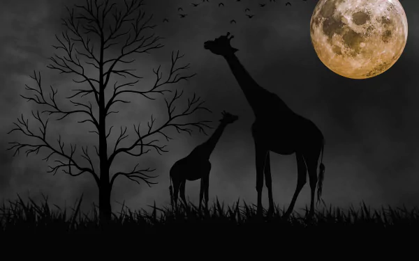 Silhouettes of two giraffes and a tree against a black night sky with a glowing full moon, captured in stunning 4K Ultra HD for a PC desktop background.