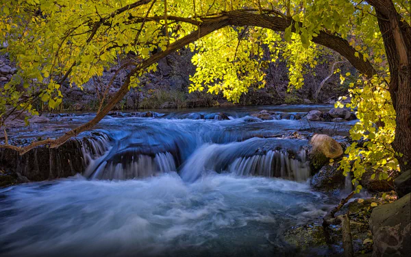 4K Ultra HD PC desktop wallpaper — Arizona fall nature: golden-leafed tree arching over a rushing creek.