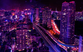 38灯 NATURE TONES Anarchy in the TOKYO Aesthetica Magazine - Review of Tokyo 1955 - 1970: A New