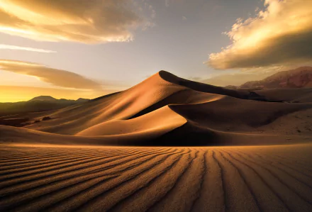 Golden sand dunes under a dramatic sky in a desert landscape, captured in HD as a desktop wallpaper and background.