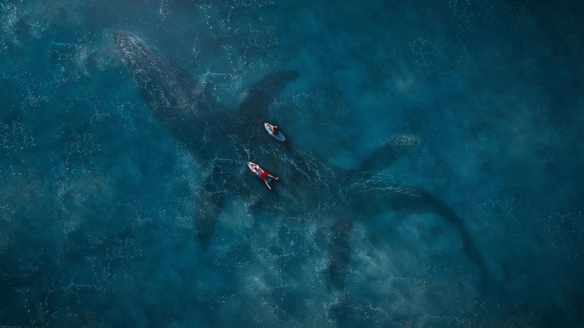 HD PC desktop wallpaper from the movie Jurassic World: Fallen Kingdom featuring two kayakers paddling above a massive underwater dinosaur.