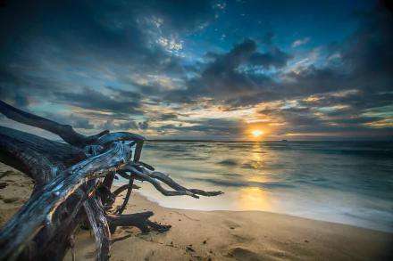  Ocean Sunset