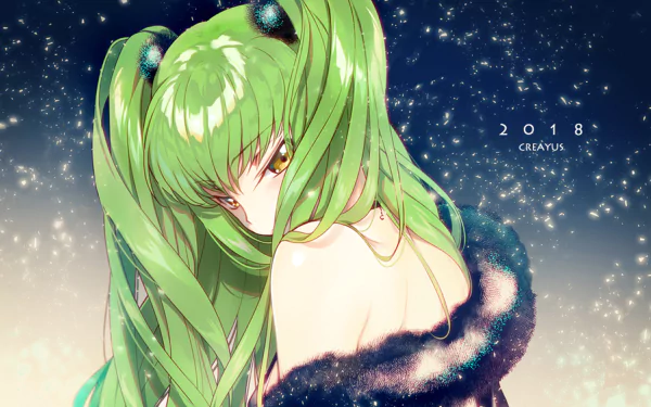 HD PC desktop wallpaper: C.C. (Code Geass) anime portrait with long green hair, looking over her shoulder against a starry, snowy night background.