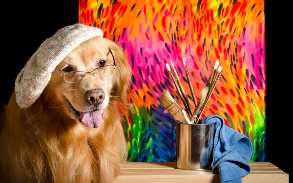Animal Golden Retriever Dogs Dog Glasses Hat HD Wallpaper | Background Image
