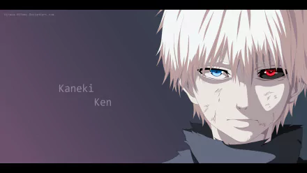 HD anime wallpaper featuring Ken Kaneki from Tokyo Ghoul, showcasing his white hair and distinct mismatched red and blue eyes against a dark background.