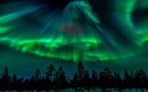 Earth Aurora Borealis Nature Night Light Sky Stars Winter HD Wallpaper | Background Image