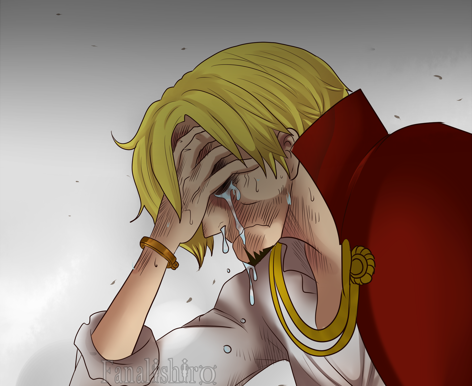 Sanji's Cry For Robin