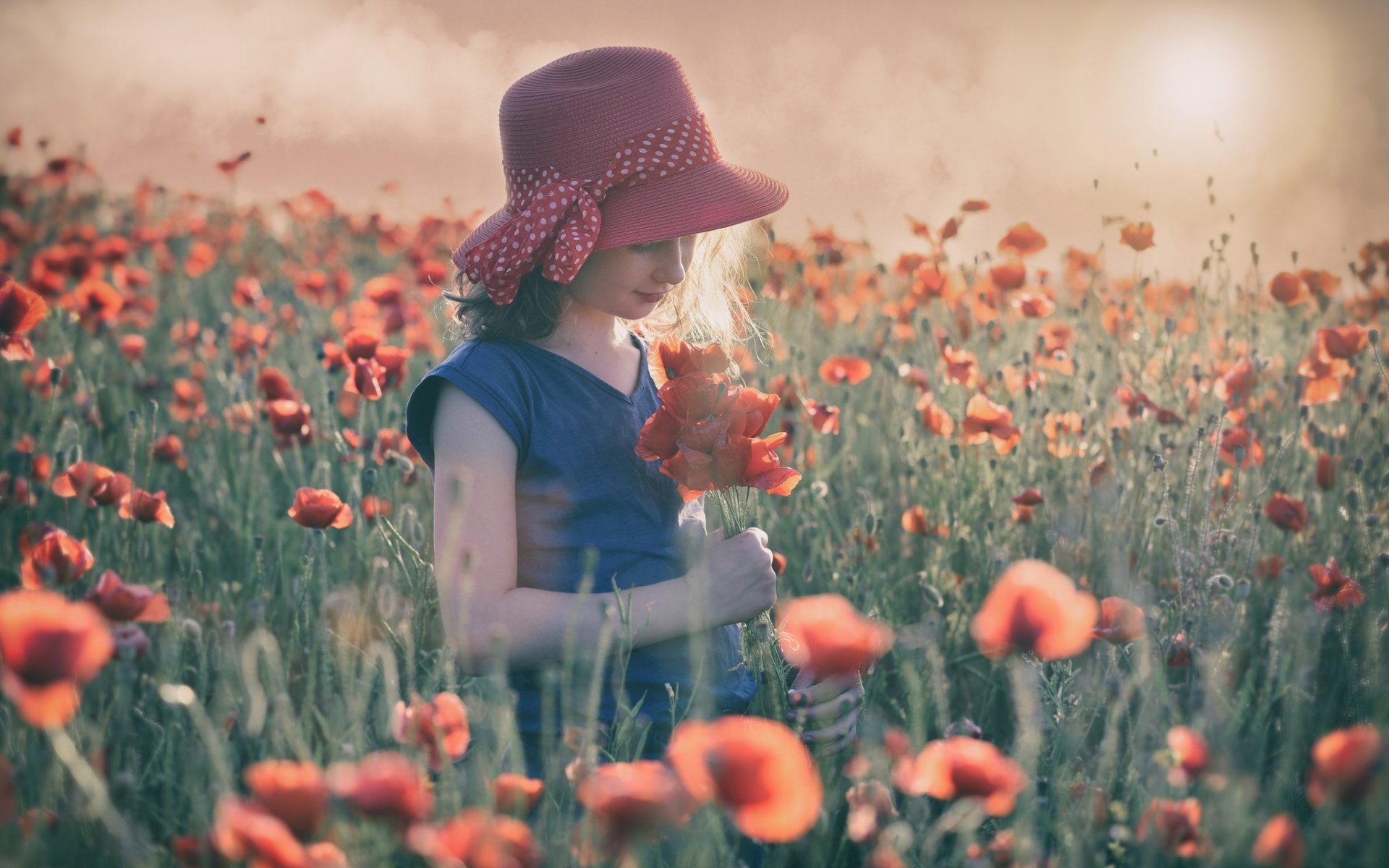 HD PC desktop wallpaper: child in a red hat standing in a sunlit poppy field, holding a poppy — summer photography of vibrant red flowers.