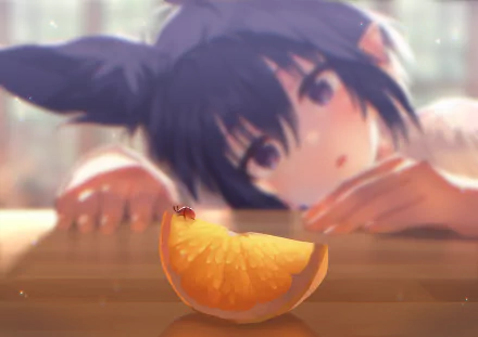 Anime-style girl with dark hair watching a ladybug on a slice of orange, in a warmly lit, high-definition desktop wallpaper.