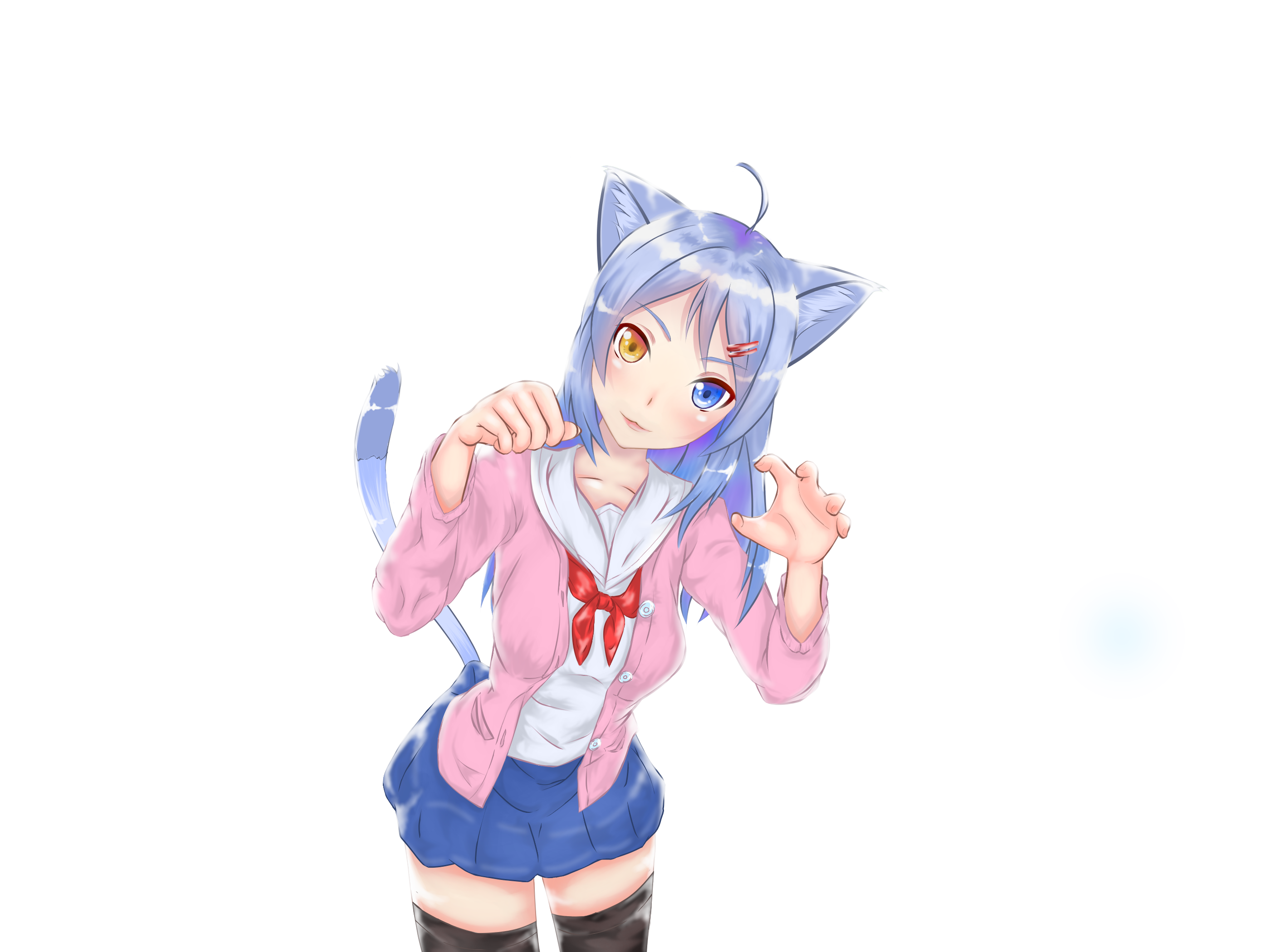 アニメ nyaa