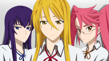 Saya Takagi Shizuka Marikawa Saeko Busujima Anime Highschool Of The Dead HD Desktop Wallpaper | Background Image